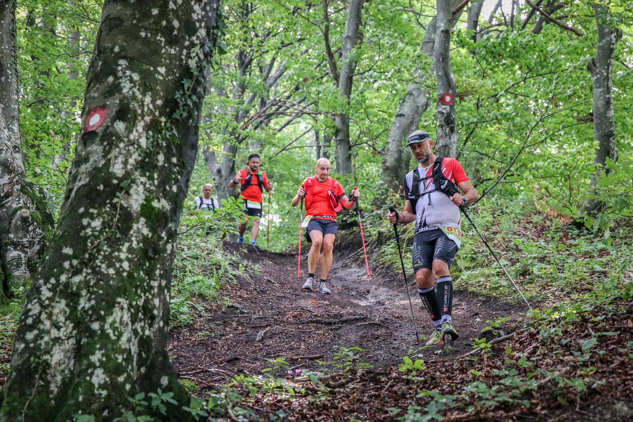 69577233 2943190949029670 8175184112919773184 o