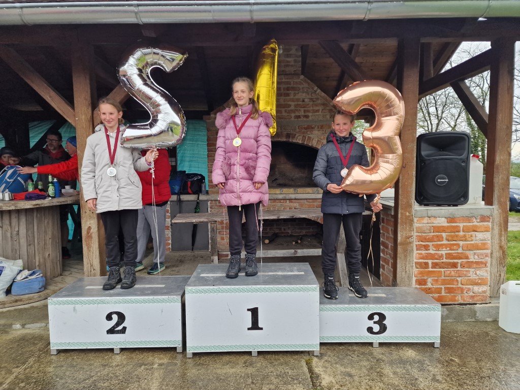 336698196 630035045830202 2886384264852672564 n