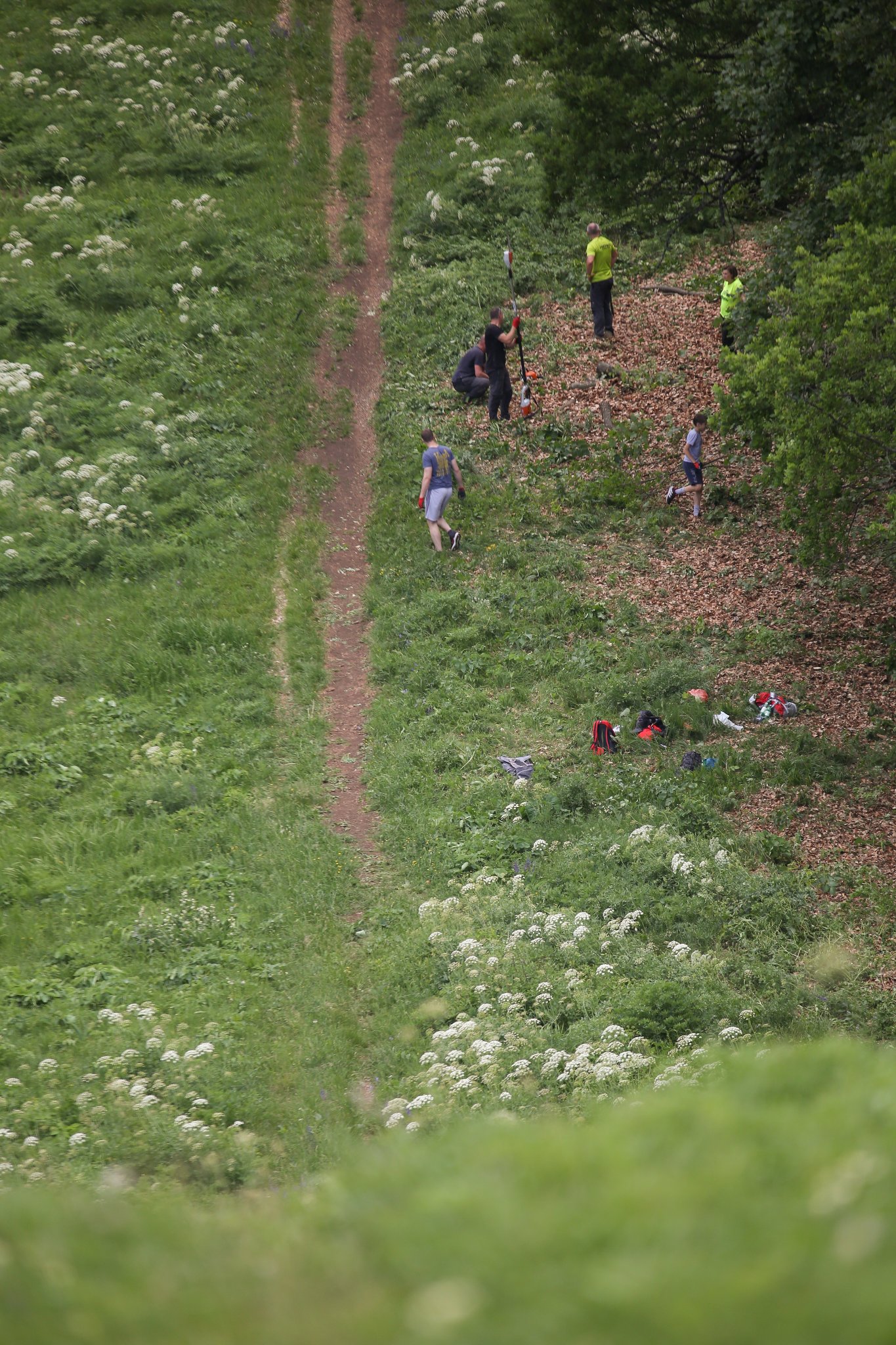 283468672 2979171522228392 8438724602844737127 n