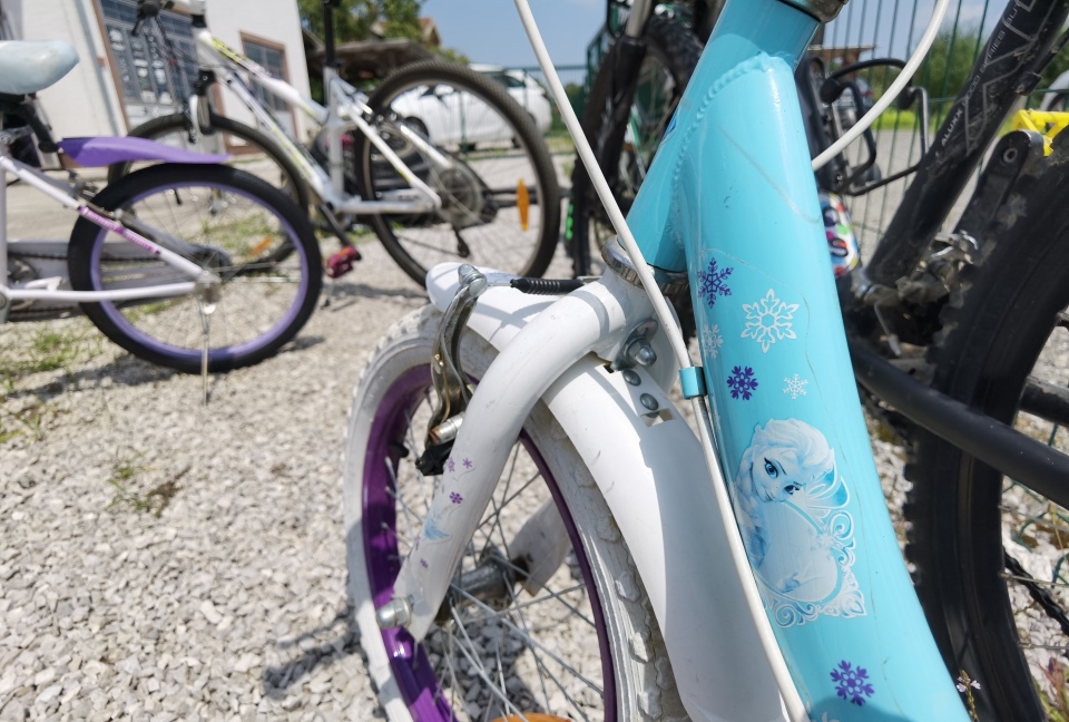 IMG 20210722 133614 resized 20210802 030912089